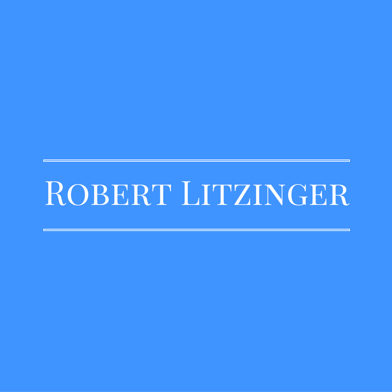 Robert Litzinger - Career